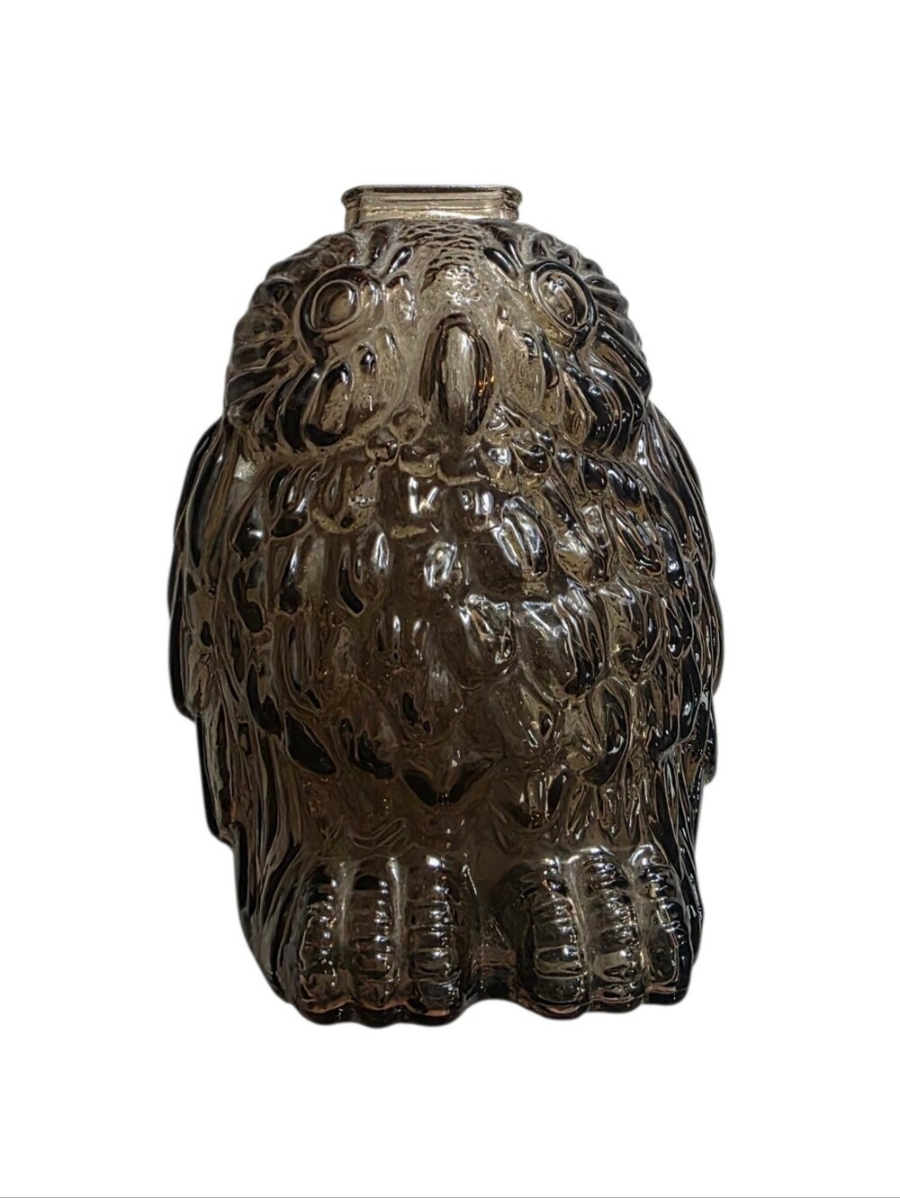 Vintage Molded Glass Wise Old Owl Bank